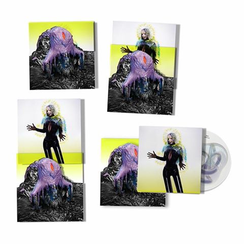 Vulnicura.jpg