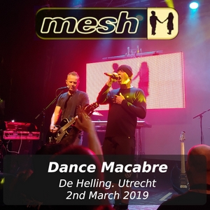 Mesh - 2019-03-02.jpeg