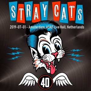 Stray Cats 2019-07-01.jpg