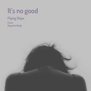 Flying Ships  - t's no good.jpg