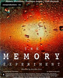 The Memory Experiment.jpg