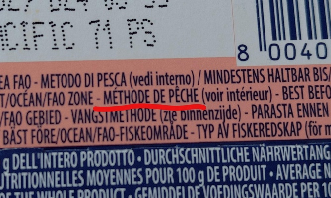 Méthode de Pêche.jpeg