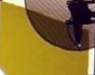 detail.png