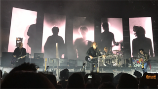 IMG_0203.PNG