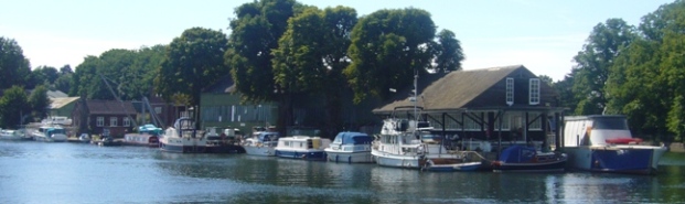 quizz photo 2.JPG