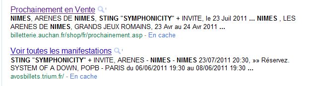 sting_nimes.JPG